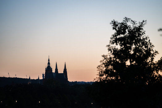 Silhouetted cathedral with multiple spires against a dusky twilight sky with tree in foreground.