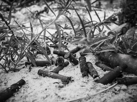 Black and white photograph of scattered branches and twigs on sandy ground with sparse vegetation.