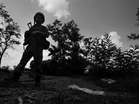 Silhouetted runner in athletic gear moving through a natural landscape with trees and vegetation.