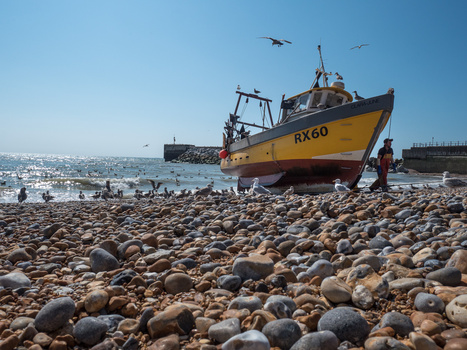 Yellow and black fishing boat beached on pebbled shore with calm sea and clear sky behind.