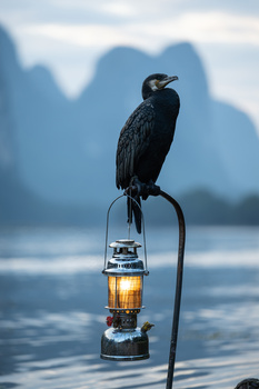Black cormorant perched on a lantern above water with misty mountains in the background.