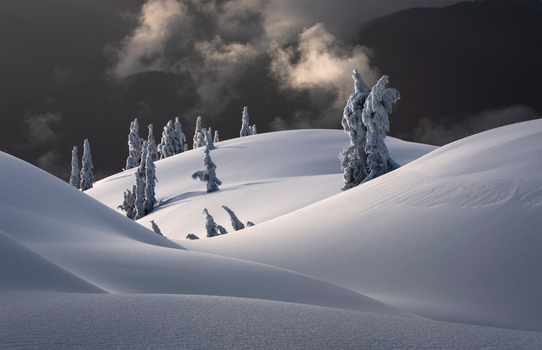 Snow-covered rolling hills with frost-laden evergreen trees scattered across the landscape under dramatic storm clouds.