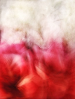 Abstract ink diffusion in water transitioning from white and pink to deep red tones.