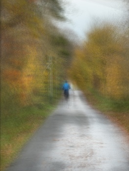 Person in blue jacket walking away down a wet path lined with autumn foliage.
