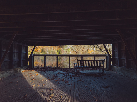 Wooden shelter interior with bench silhouetted against bright autumn foliage outside.
