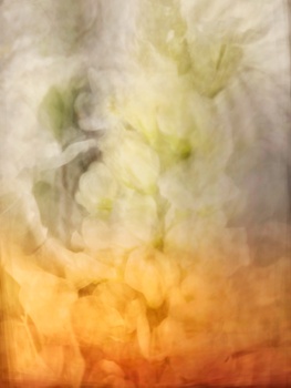 Abstract ink or watercolor wash transitioning from soft whites and greens above to warm golden orange tones below.