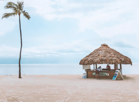 Minimalist beach scene with a lone palm tree, thatched-roof hut, and calm ocean horizon.