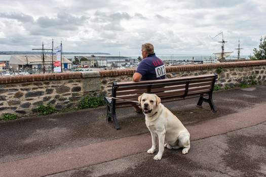 Person sitting on a bench overlooking a harbor with a cream-colored Labrador in the foreground.