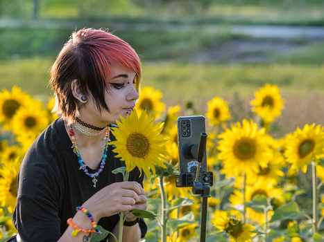 Woman with red and black hair holding a smartphone on a tripod while posing with a sunflower in a field of blooming sunflowers.