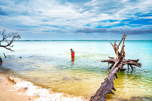 Person in orange standing in shallow turquoise water near weathered driftwood on a tropical beach.