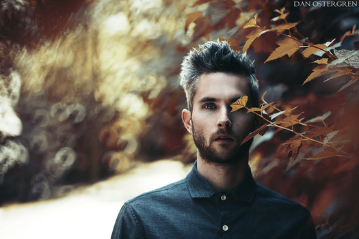 Man with dark hair and beard wearing a blue button-up shirt, positioned against warm autumn foliage and blurred background.