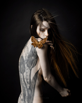 Woman with long dark hair wearing a gold metallic collar against a dark background.