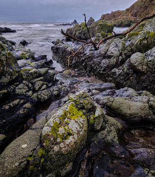 Rocky coastline with moss-covered boulders, driftwood, and turbulent ocean waves under overcast sky.