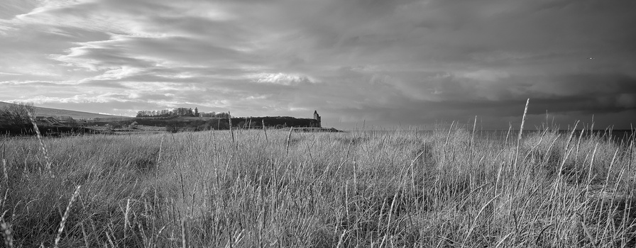 Expansive marshland with tall grasses stretching toward distant treeline under dramatic cloudy sky.