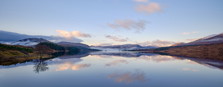Mirror-still lake reflecting snow-capped mountains and pastel dawn sky with solitary tree on near shore.