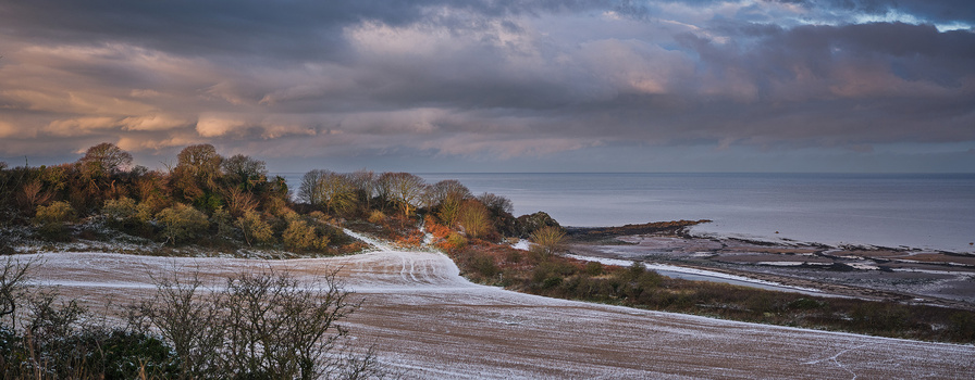 Snowy farmland with bare trees and distant water under a dramatic cloudy sky.
