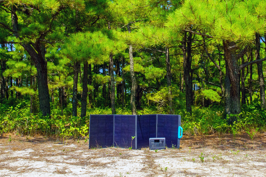Dark blue portable structure sits in sandy clearing bordered by tall pine forest.