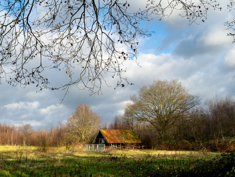 Rural farmhouse with dark roof nestled among trees in a wide open meadow under partly cloudy sky.