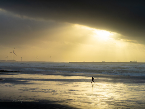 Surfer walking into golden-hour surf with offshore wind turbines visible along the horizon.