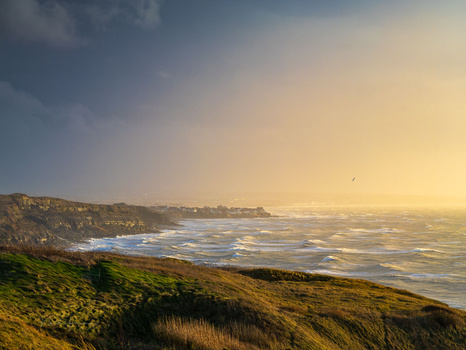 Golden hour sunlight illuminating a dramatic coastal headland with green grass slopes meeting turbulent ocean waves.