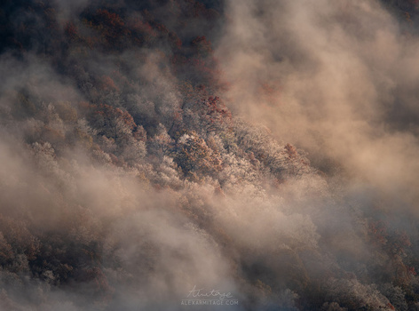 Forested mountainside shrouded in thick fog and mist, with evergreen trees barely visible through the haze.