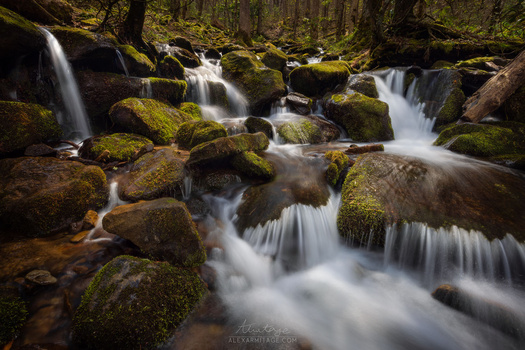 Cascading forest stream with moss-covered rocks and long-exposure flowing water.