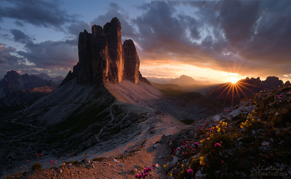 Dramatic mountain peaks illuminated by golden sunset light with alpine flowers in the foreground.