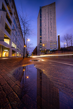 Urban street at dusk with puddle reflection of illuminated buildings and light trails from passing traffic.