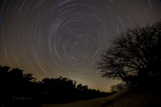 Star trails form concentric circles above silhouetted trees and a winding dirt road at night.