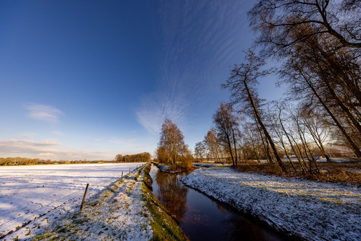 Frost-covered meadow with a narrow stream reflecting bare birch trees under clear blue sky.