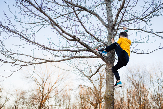 Person in yellow jacket climbing a bare tree trunk in a winter forest landscape.