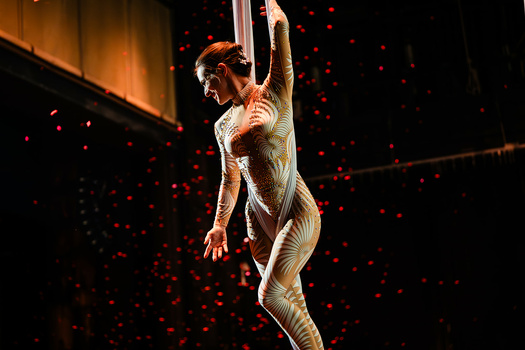 Aerial silks performer suspended on fabric against dark background with warm golden lighting and scattered red particles.