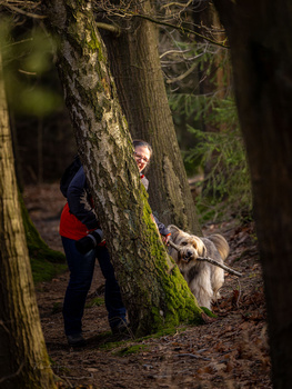 Person in blue jacket and red pants standing beside large moss-covered tree trunk with dog in forest.