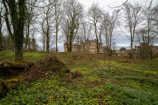 Bare trees and moss-covered ground lead to a distant stone mansion across an overgrown estate landscape.