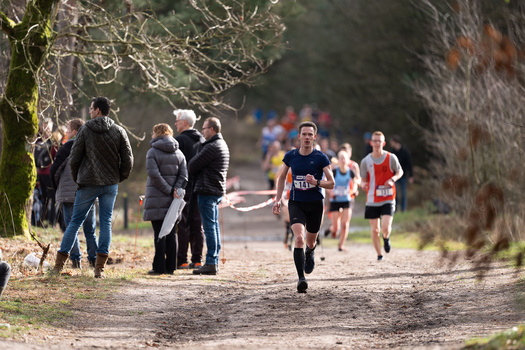Runners in a race pass spectators lining a tree-lined path during an outdoor running event.