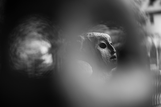 Barn owl's head in sharp focus, framed through blurred foreground elements in black and white.