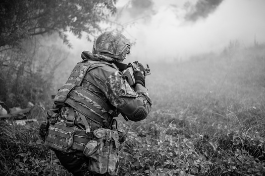 Soldier in combat gear aiming rifle from behind cover in misty woodland terrain.