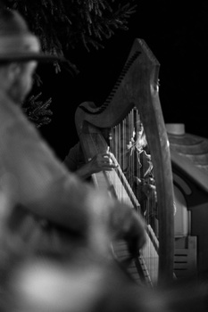 Musician's hands playing a harp in black and white close-up photography.