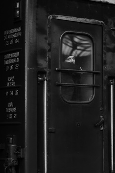 Black and white portrait of a person viewed through a train or bus window with metal frame and handle.