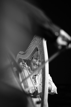 Close-up of harp strings and frame in black and white, shot at shallow depth of field.