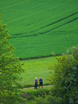 Two people standing on a narrow path between vibrant green fields with trees framing both sides.