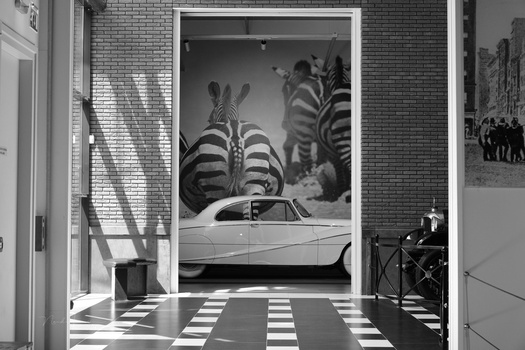 Black and white photograph of a vintage car displayed in a gallery space with zebra stripe artwork.