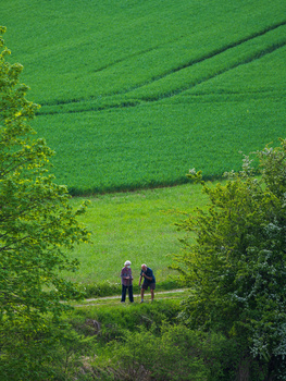 Two hikers walking through a verdant valley with layered green fields and tree-lined borders.