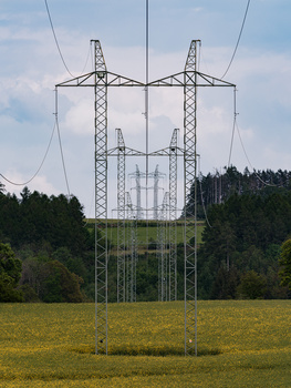 Electrical transmission towers standing in a rural field with forest backdrop and overcast sky.