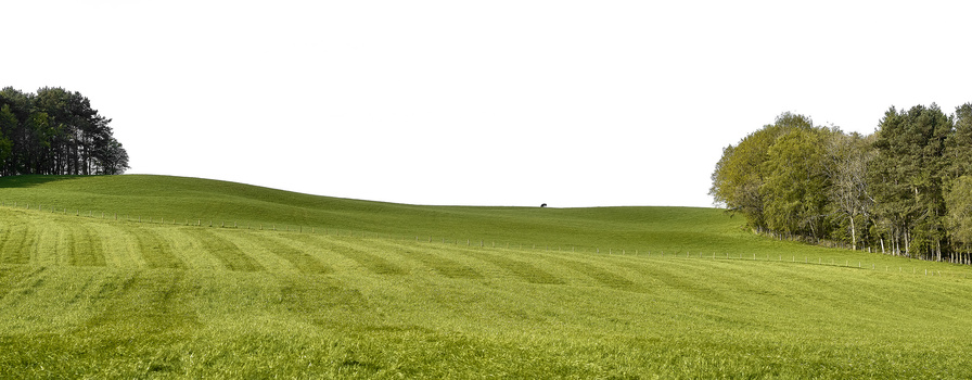 Rolling green hillside with mowed grass patterns and tree lines under overcast sky.
