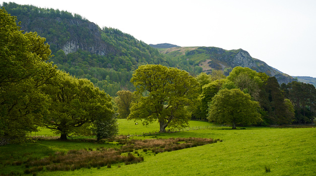 Lush green valley with scattered mature trees and a winding stream, backed by forested hills under overcast sky.