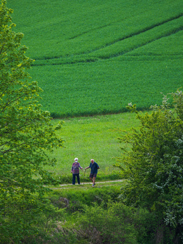 Two hikers walk through a narrow path framed by green vegetation with rolling fields beyond.