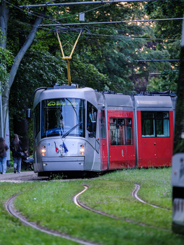 Modern tram with gray and red exterior stopped on curved tracks beneath overhead electrical lines and tree canopy.