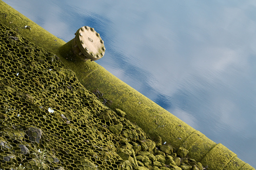 White circular object on moss-covered slope with blue water and sky in background.