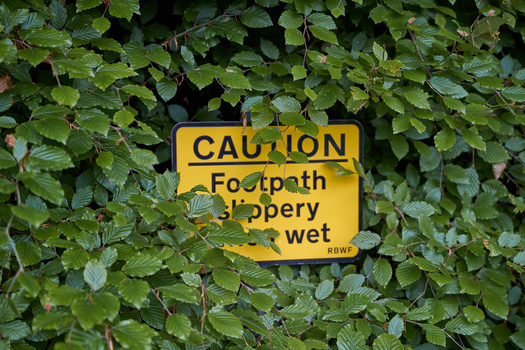 Yellow caution sign reading "Footpath slippery wet" partially obscured by green ivy and foliage.